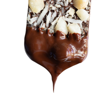 Load image into Gallery viewer, Dark Chocolate MACADAMIA COCONUT SEA SALT BITES + Plant-Based Protein