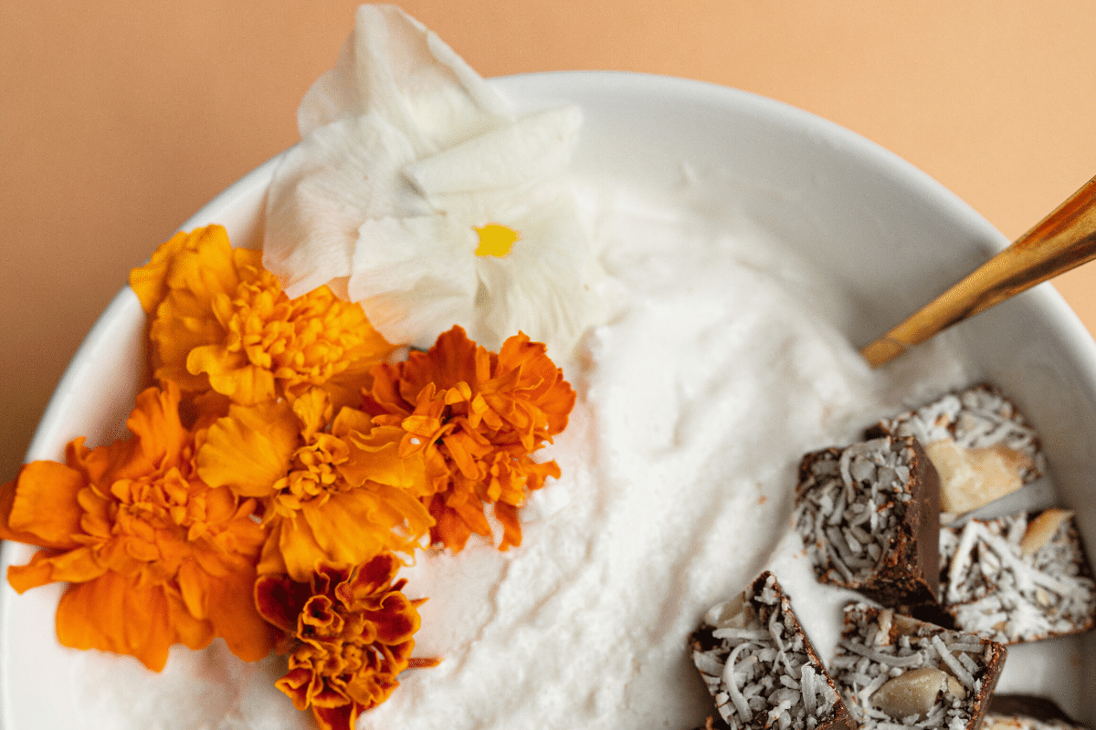 Coconut Ice Cream (KETO & GLUTENFREE) JOJO's Chocolate